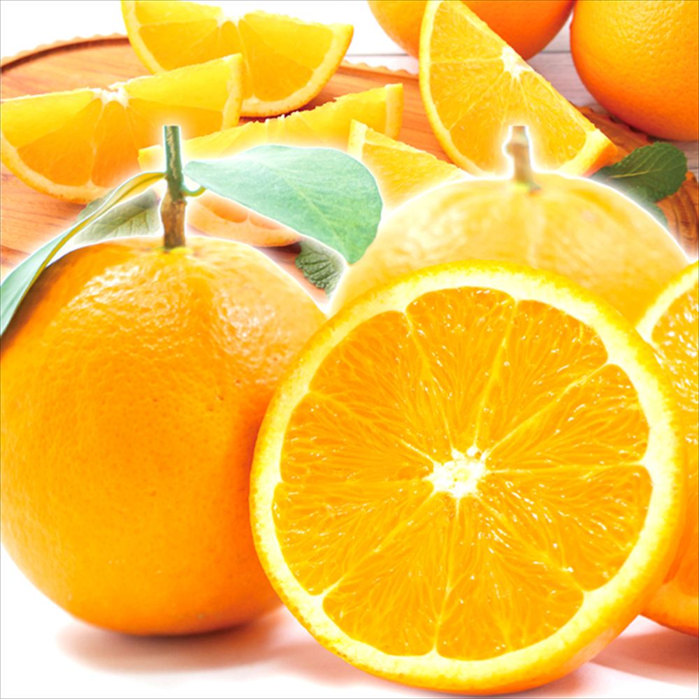 みかん 5kg ネーブル 愛媛産 送料無料 食品