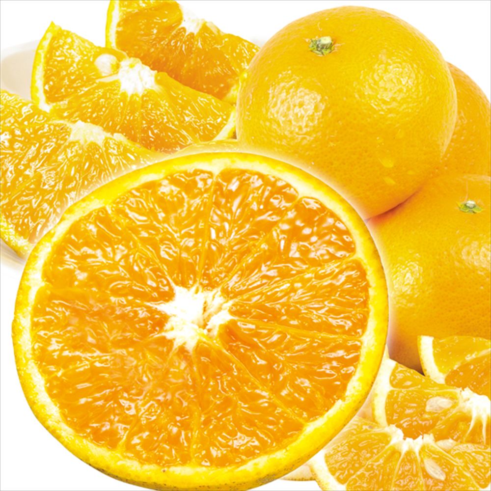 みかん 10kg 清見オレンジ 大特価 愛媛 和歌山産 送料無料 食品