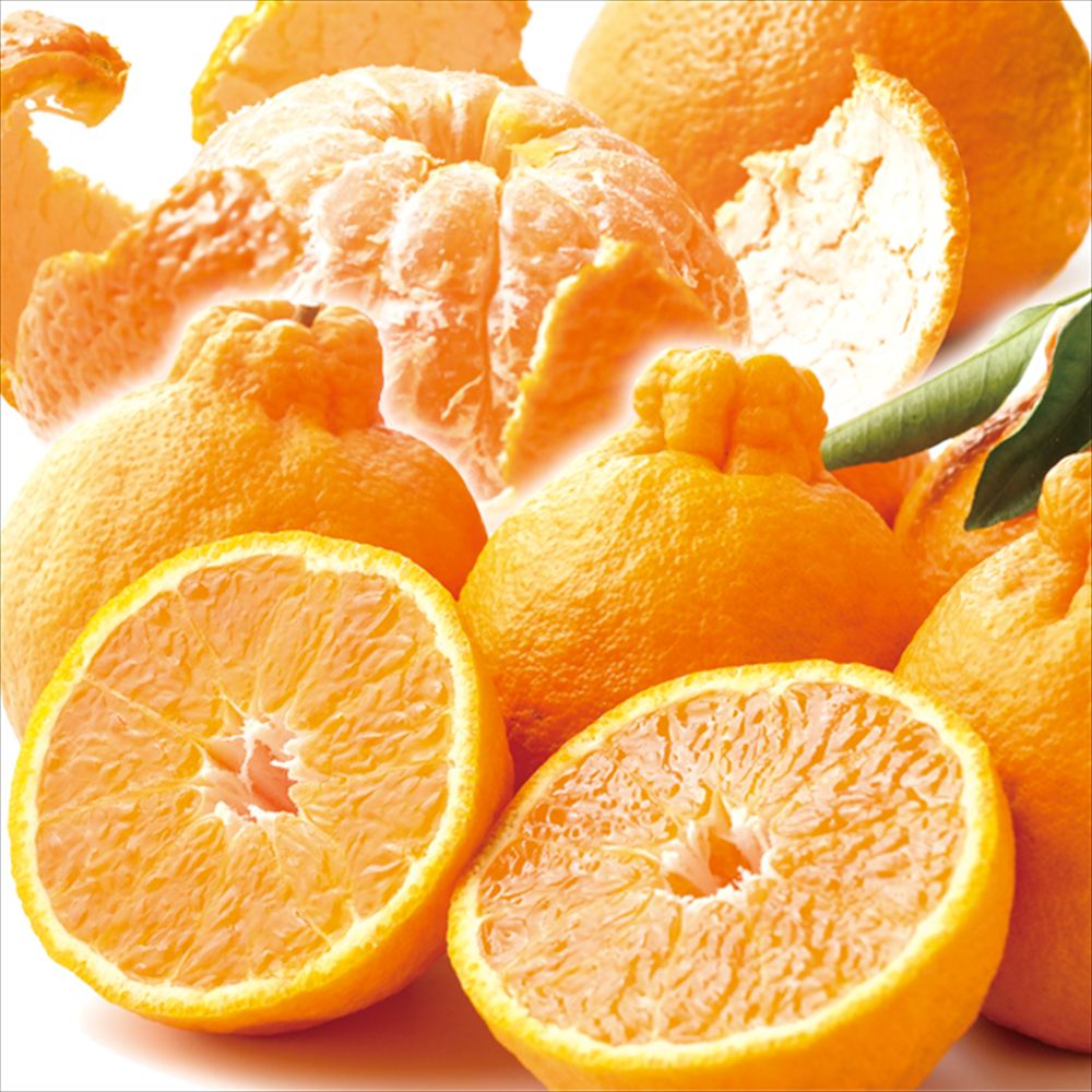 みかん 10kg 南紀黒潮不知火オレンジ 和歌山産 送料無料 食品