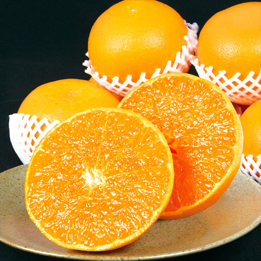 みかん 3kg せとか ギフト用 愛媛産 化粧箱 送料無料 食品