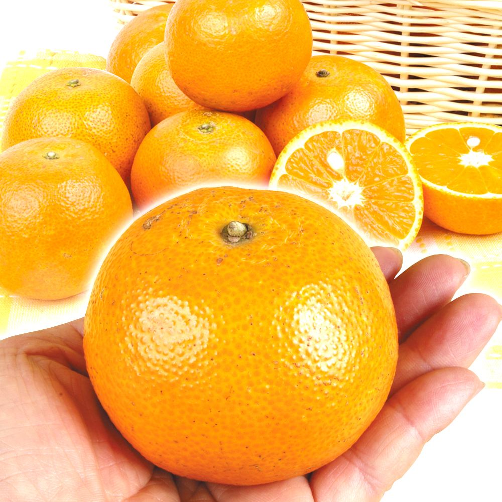 みかん 5kg タンカン 鹿児島産 送料無料 食品