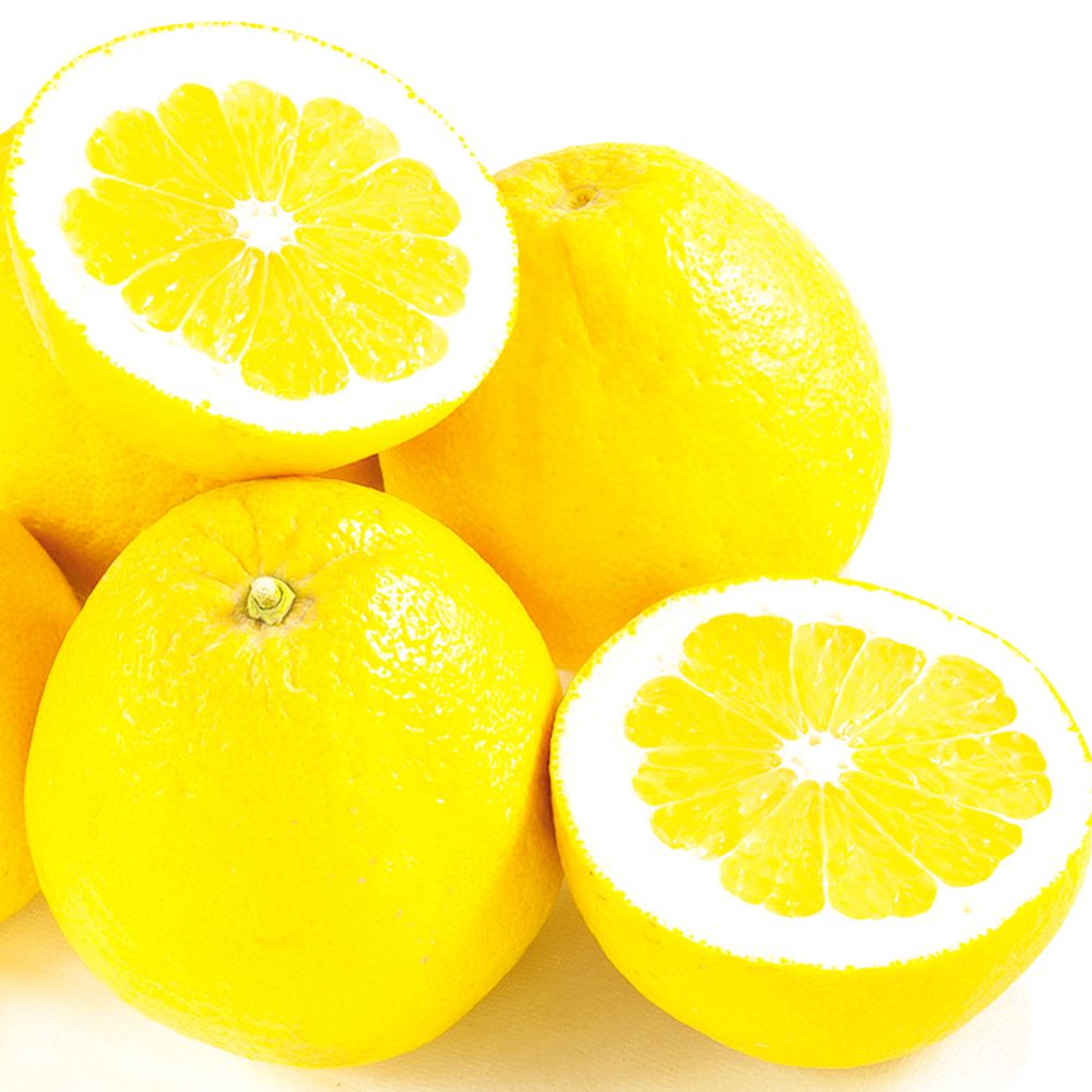 みかん 10kg 宇和ゴールド 愛媛産 ご家庭用 送料無料 食品