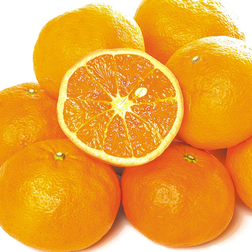 みかん 5kg カラマンダリン 愛媛産 送料無料 食品