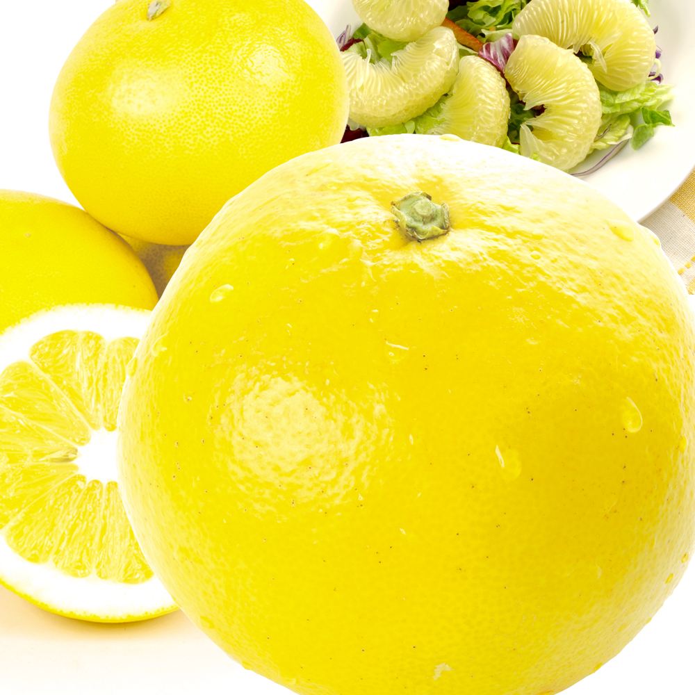 みかん 10kg 文旦 高知産 ご家庭用 送料無料 食品