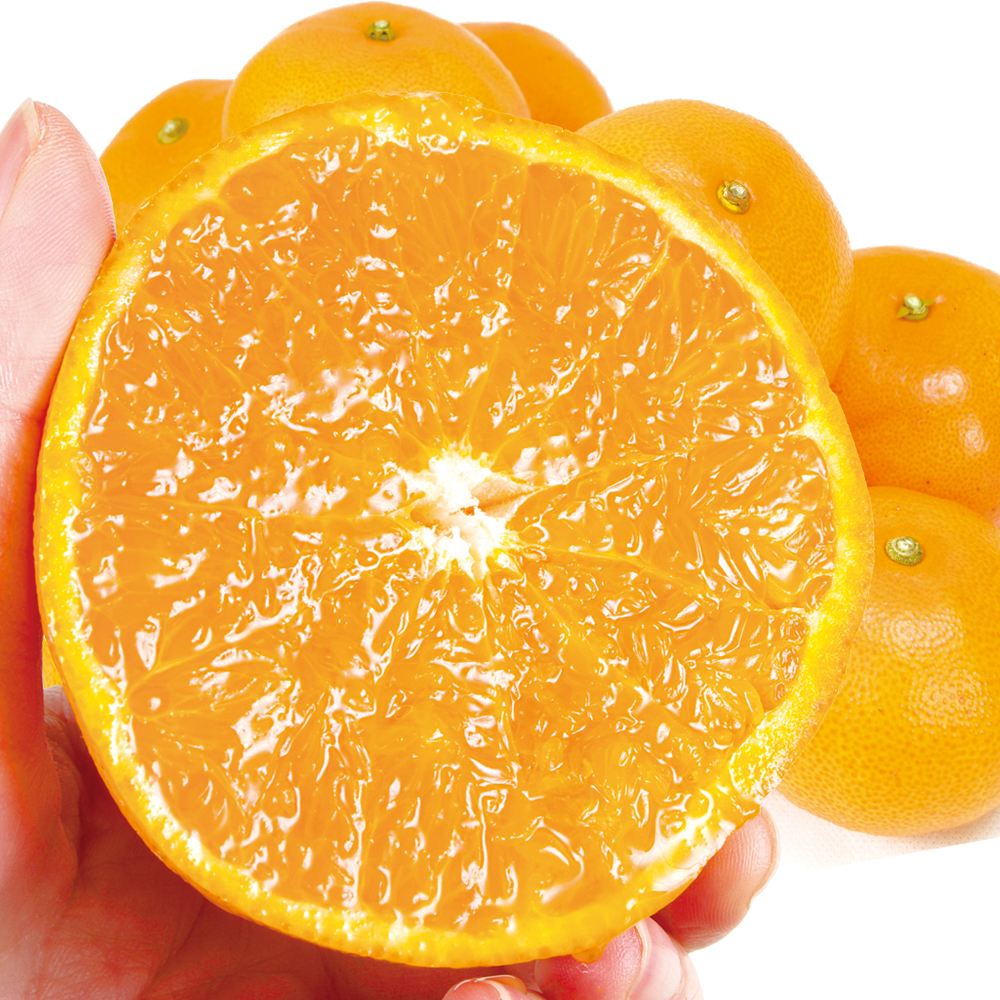 みかん 5kg 南紀黒潮 せとか 和歌山産 送料無料 食品