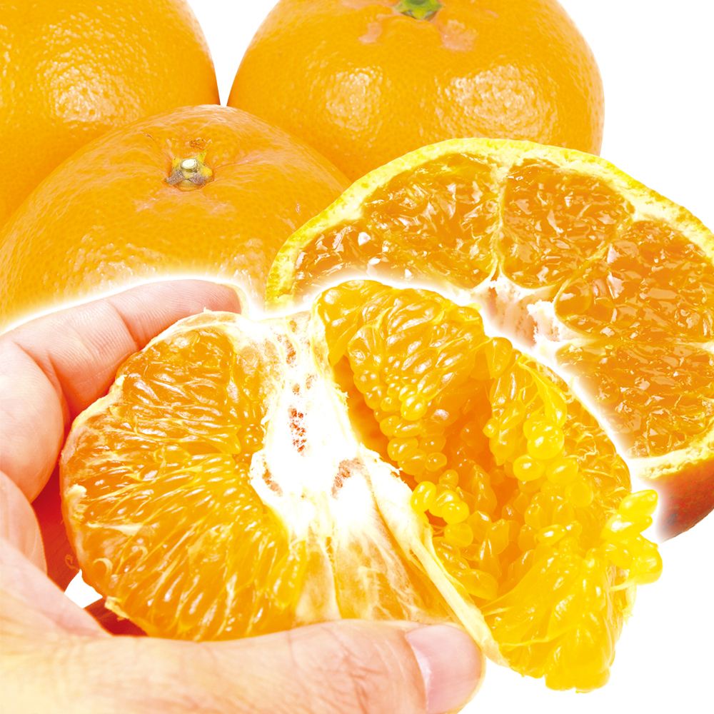 みかん 5kg はるみ 和歌山産 大特価 送料無料 食品