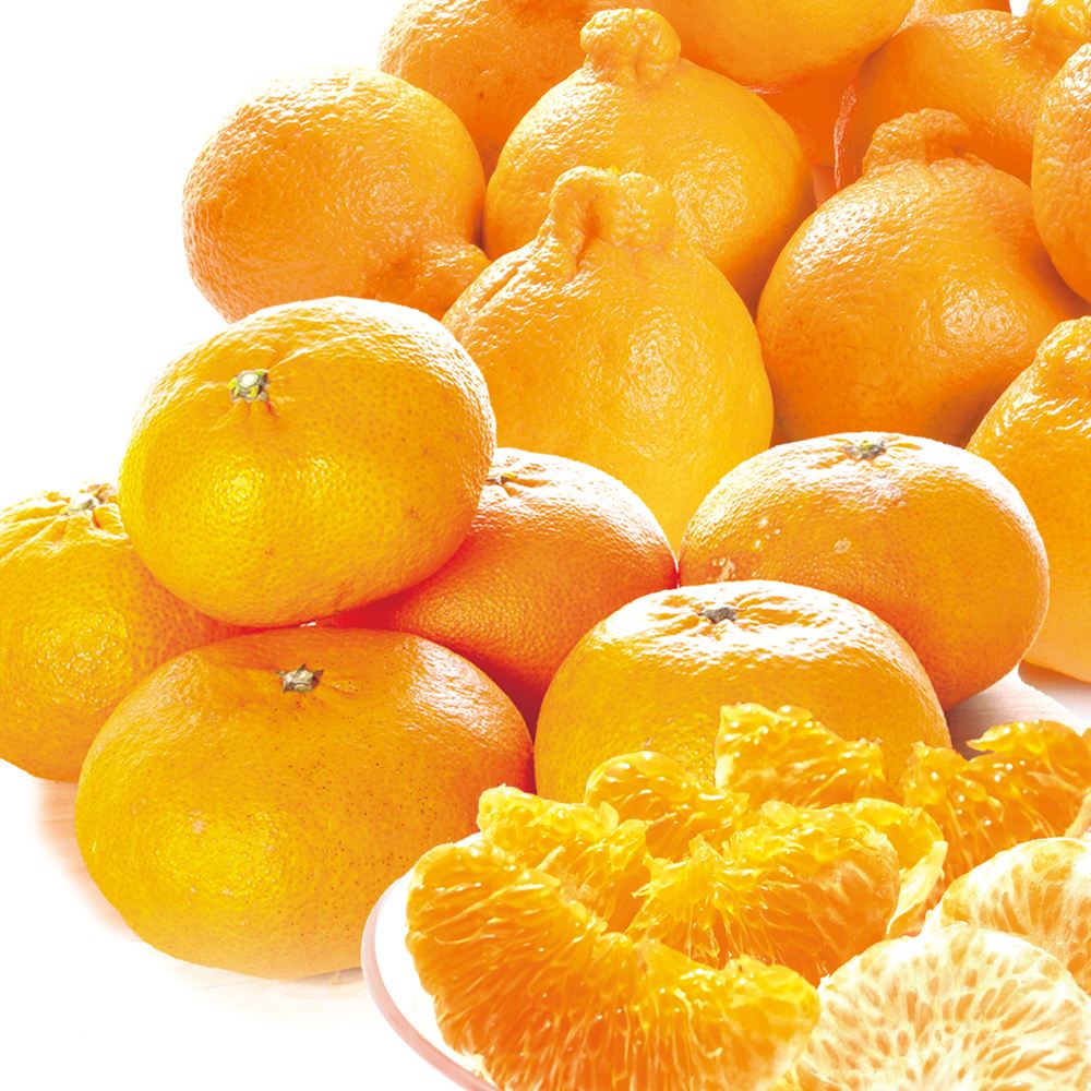 みかん 10kg （各5kg） 愛媛産 甘平 ＆ 熊本産 不知火オレンジ セット 送料無料 食品