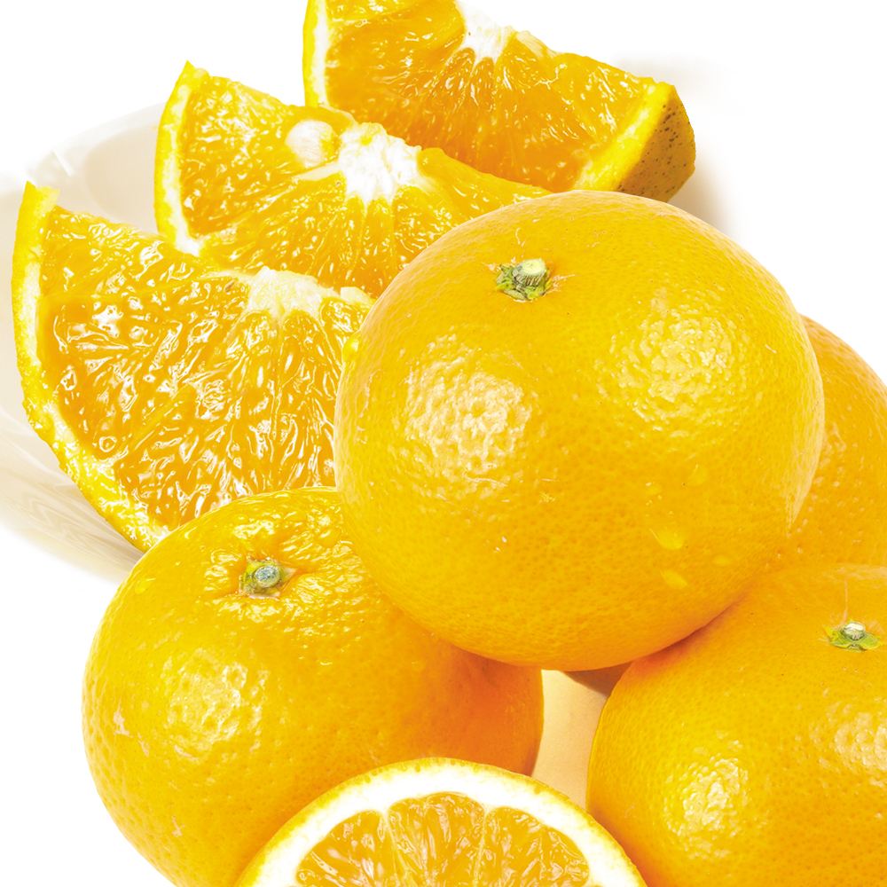 みかん 10kg 紀南の木熟清見 和歌山産 送料無料 食品