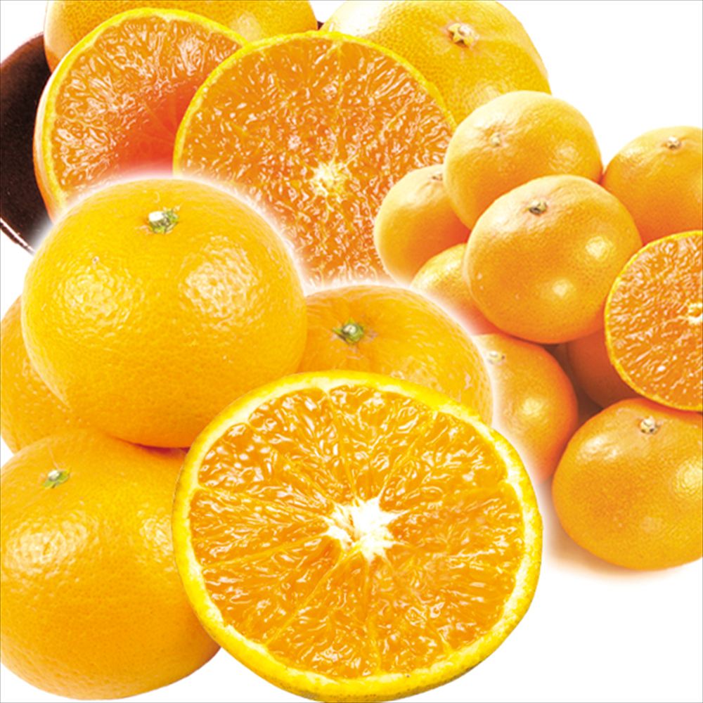 みかん 10kg （各5kg） 愛媛産 せとか＆和歌山産 清見 セット 送料無料 食品