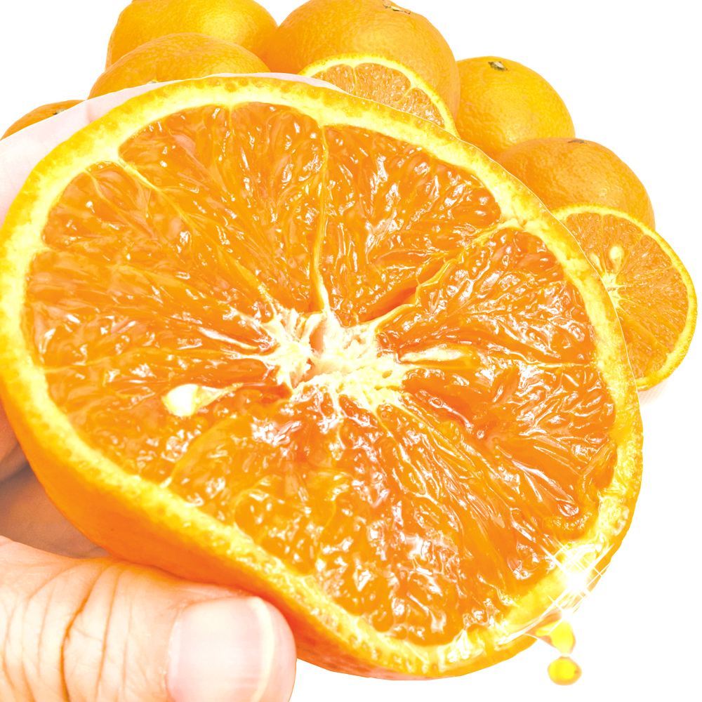 みかん 5kg なつみ 愛媛・和歌山産　 送料無料 食品