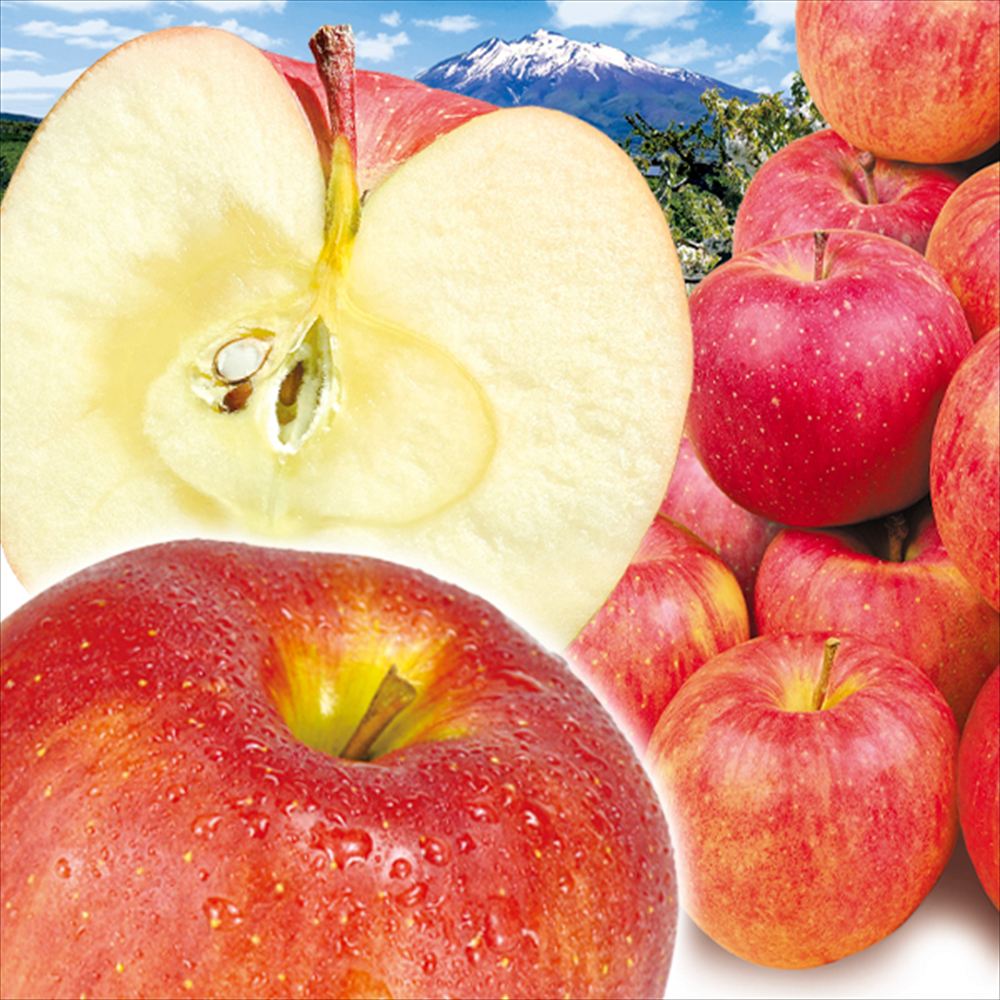 りんご 5kg サンふじ 青森産 ご家庭用 送料無料 食品