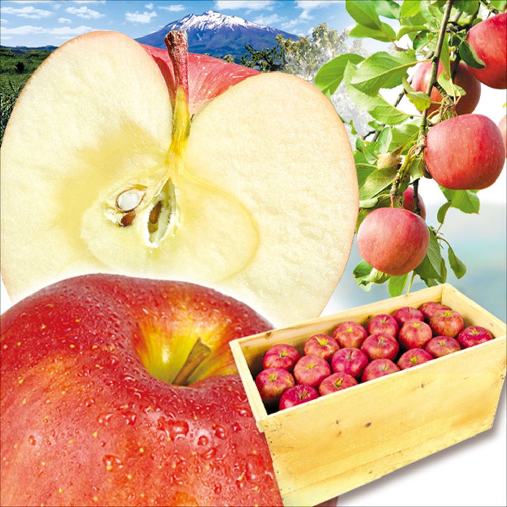 りんご 20kg サンふじ 青森産 木箱 ご家庭用 送料無料 食品