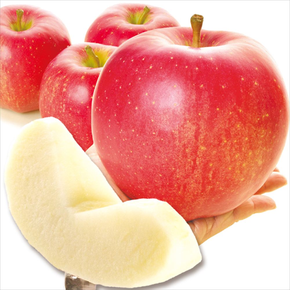 りんご 10kg 世界一 青森産 五所川原 送料無料 食品