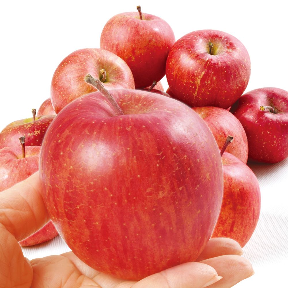 りんご 10kg ちびふじ 青森産 小玉 送料無料 食品