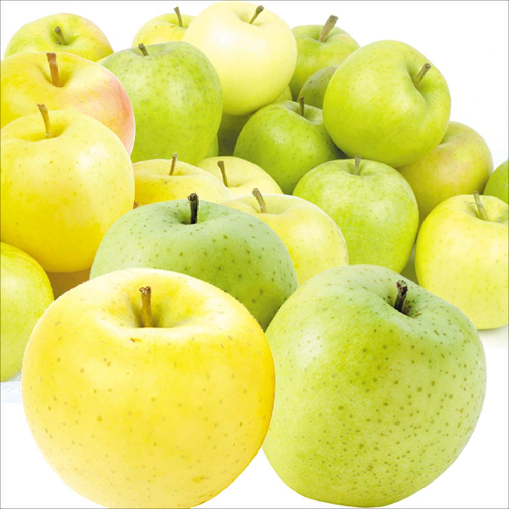 りんご 10kg おまかせ青りんご 青森産 送料無料 食品