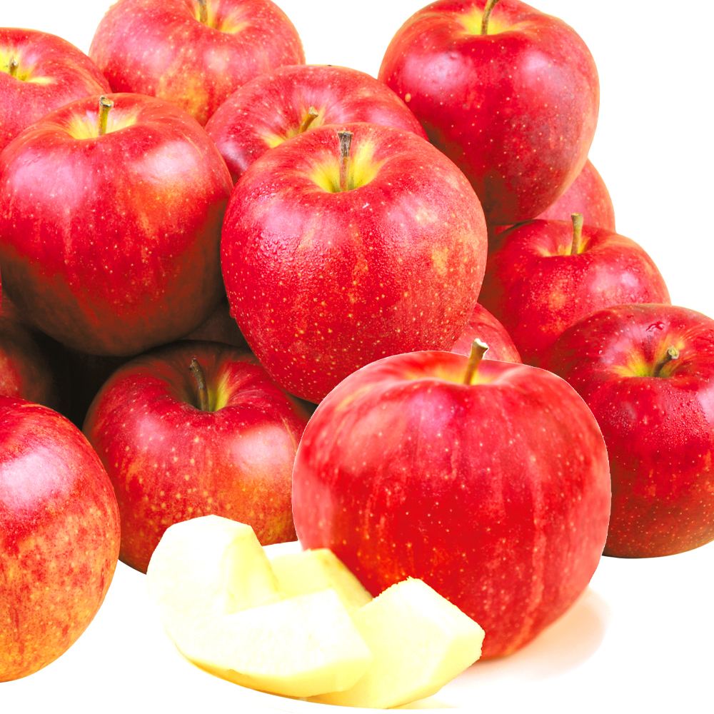 りんご 10kg サンジョナゴールド 青森産 送料無料 食品