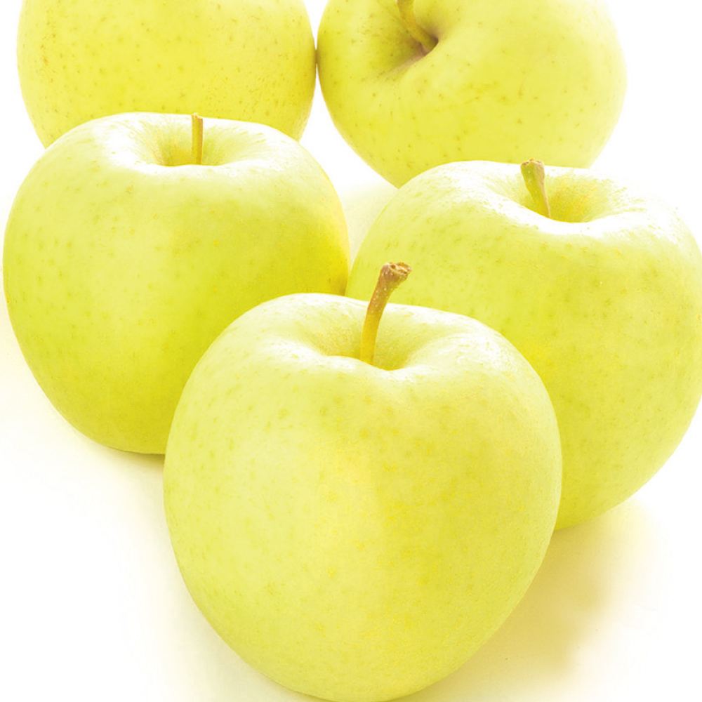 りんご 5kg 星の金貨 青森産 送料無料 食品