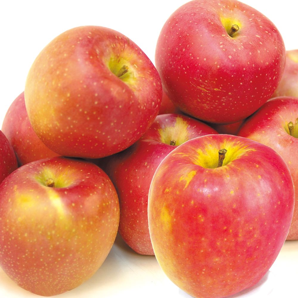 りんご 5kg 印度りんご 青森産 送料無料 食品