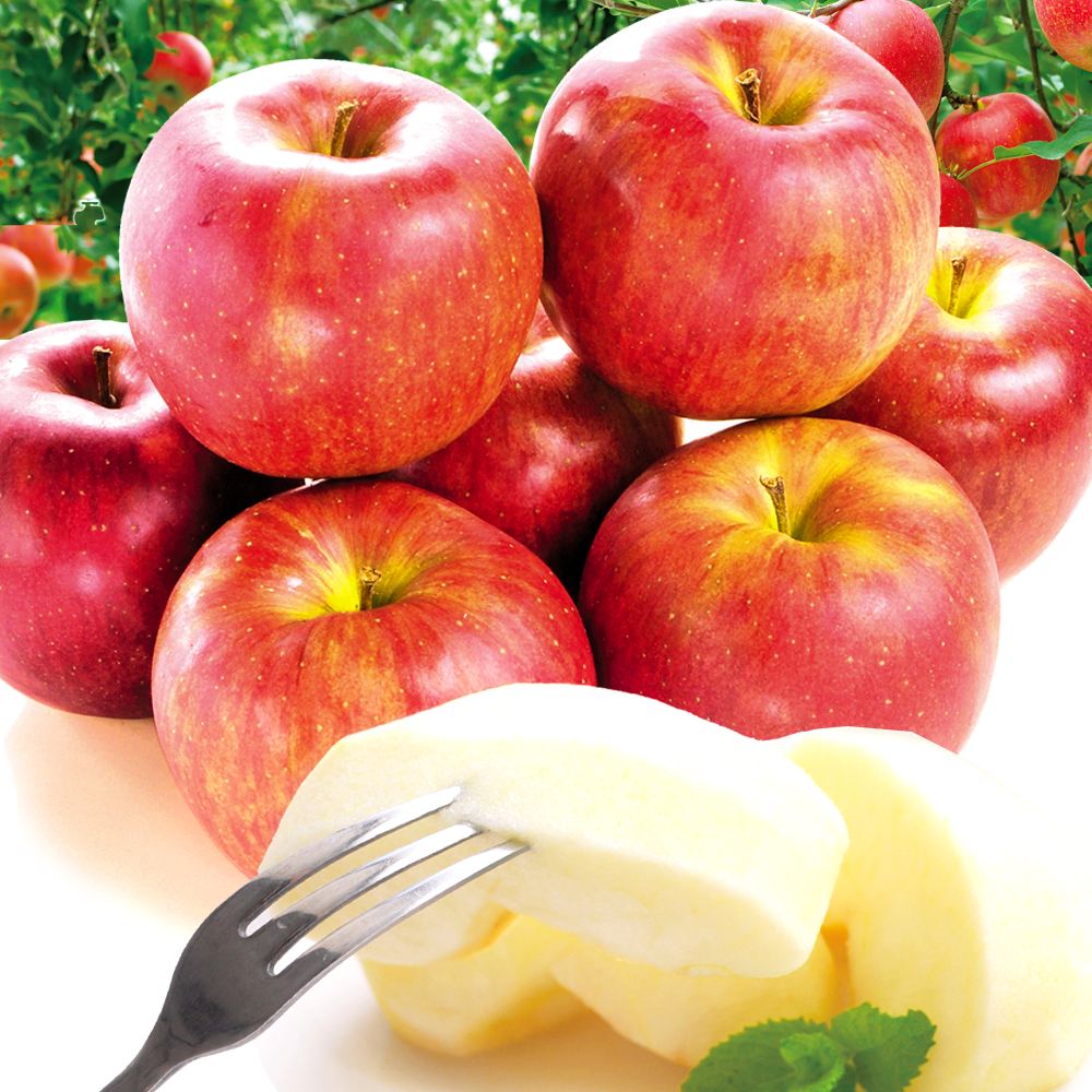 りんご 2kg シナノスイート 長野産 ご家庭用 送料無料 食品