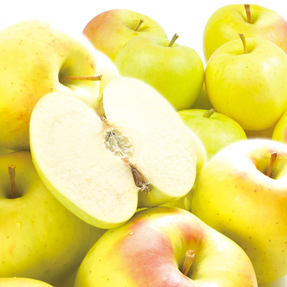 りんご 10kg とき 青森産 五所川原 ご家庭用 送料無料 食品