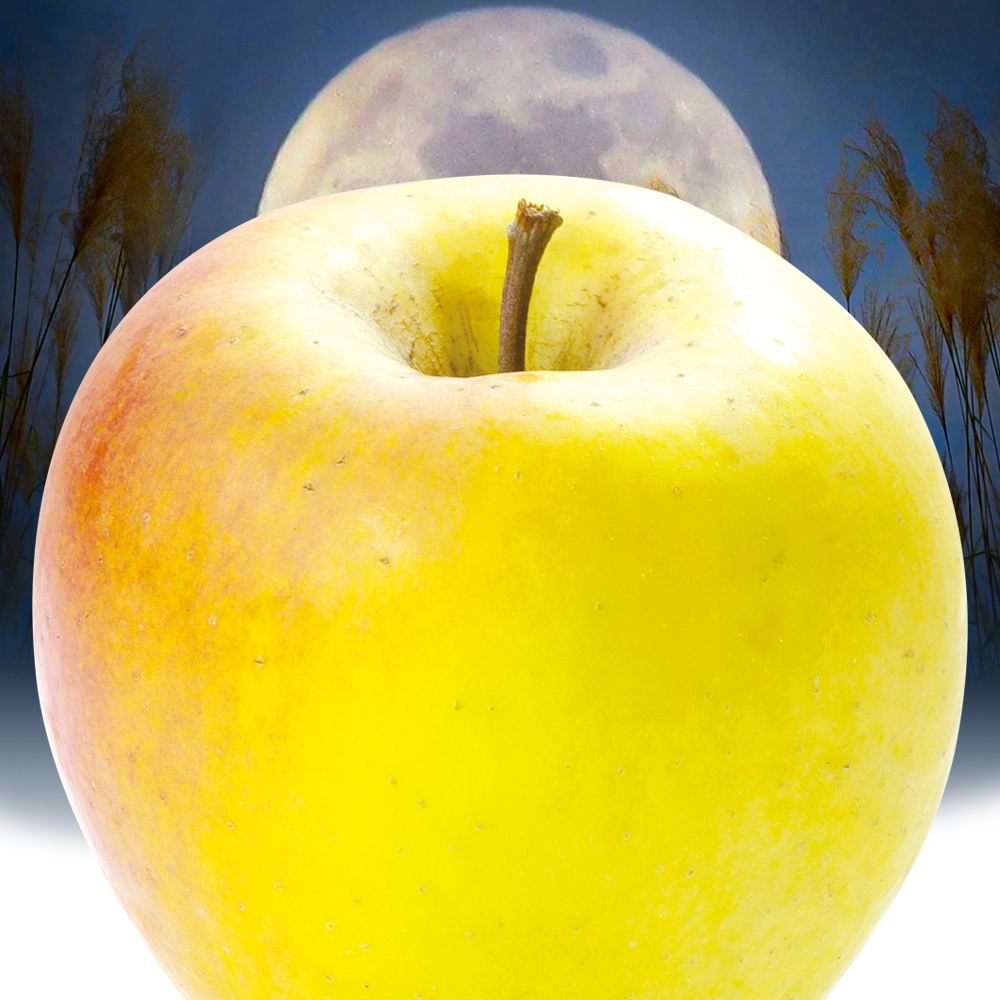 りんご 2kg ぐんま名月 長野産 ご家庭用 送料無料 食品