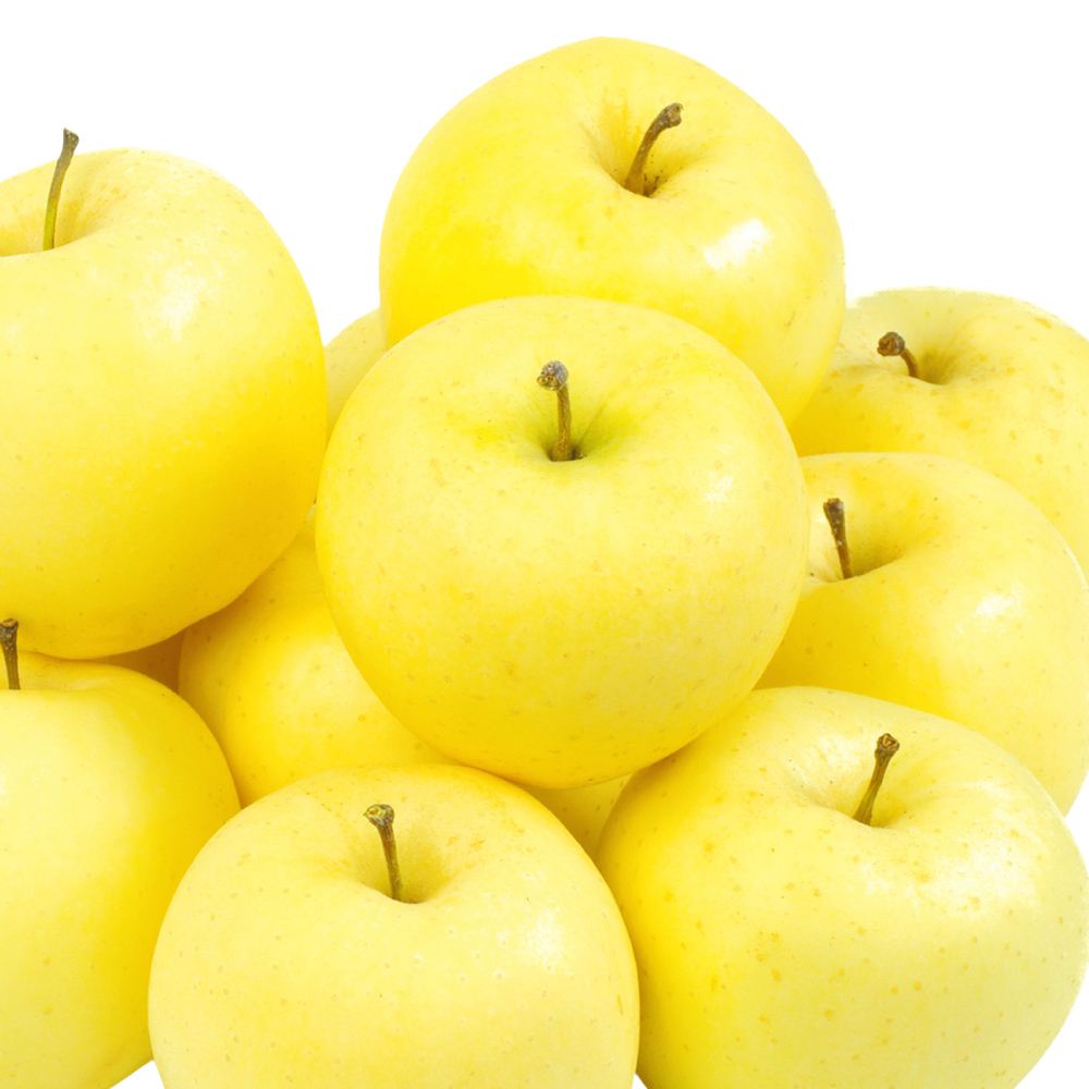 りんご 10kg 青森産 金星 送料無料 食品