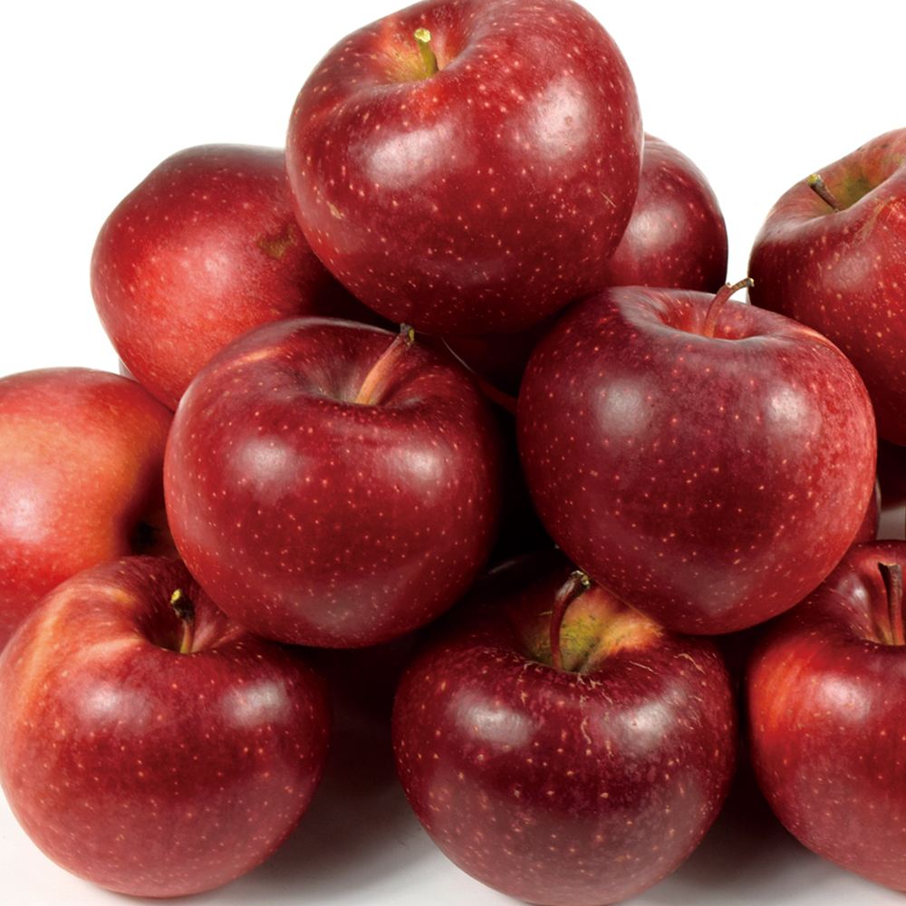 りんご 2kg シナノホッペ 長野産 ご家庭用 送料無料 食品