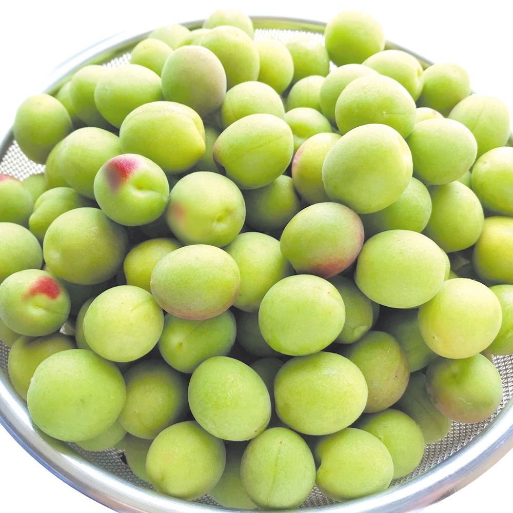 梅 10kg 小梅・青梅 和歌山産 冷蔵便 送料無料 食品