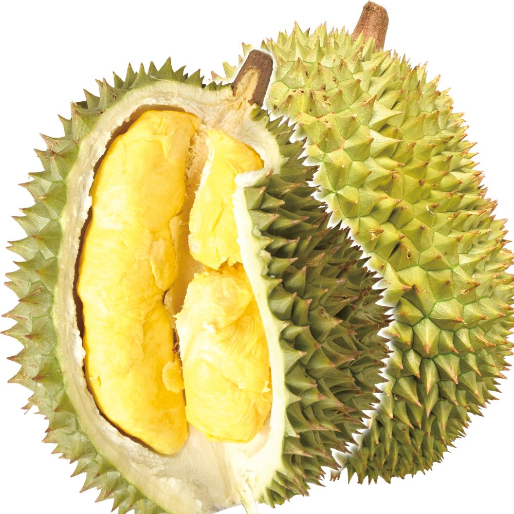 ドリアン 1玉 生ドリアン ベトナム産 送料無料 食品