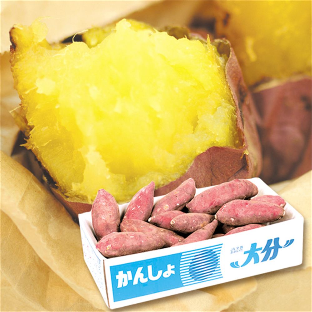 さつまいも 5kg 甘太くん 大分産 送料無料 食品
