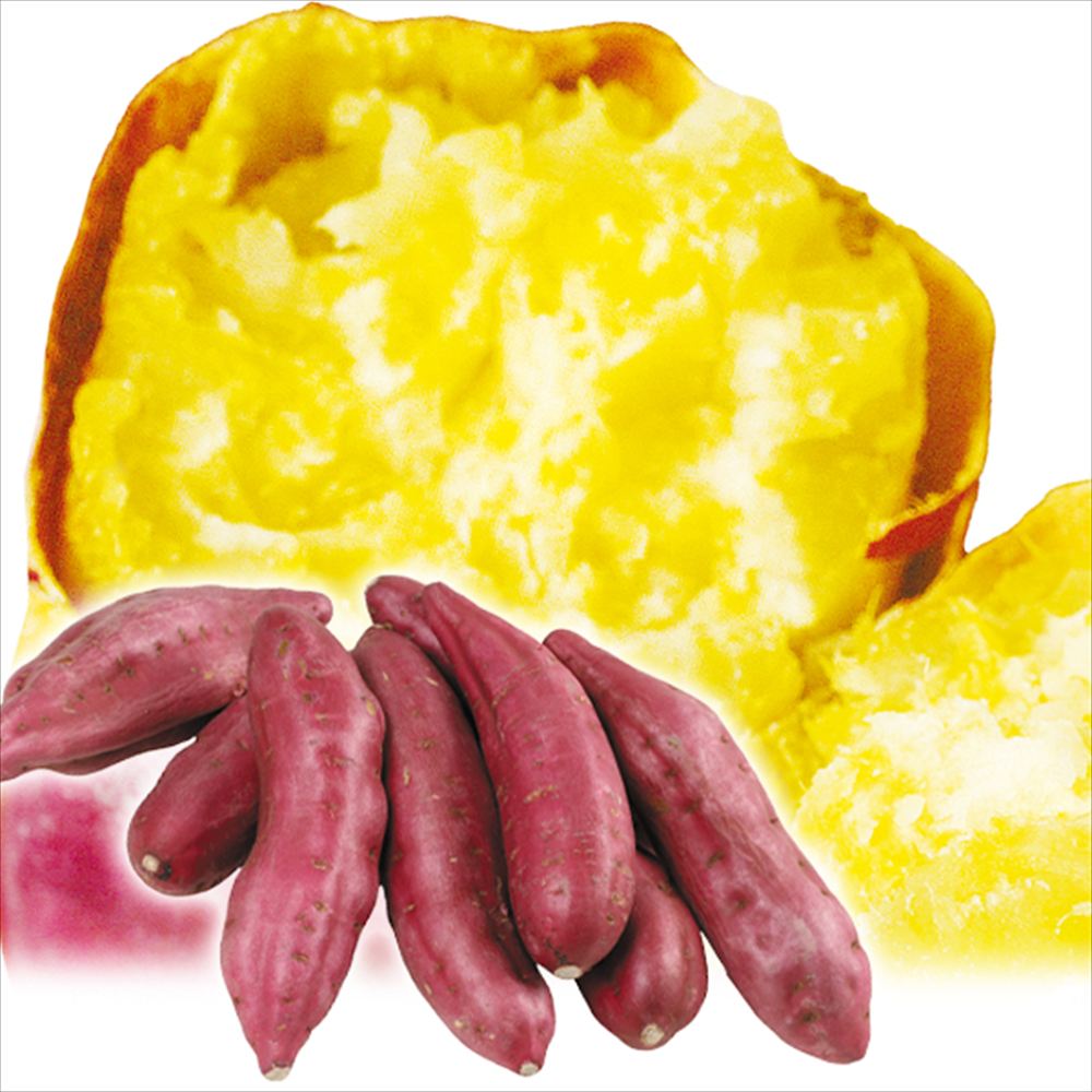 さつまいも 5kg なると金時 徳島産 ご家庭用 送料無料 食品