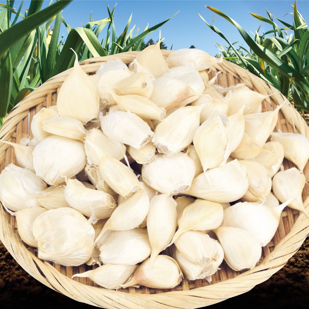 にんにく 500g にんにく バラ 青森産 ポスト投函 送料無料 食品