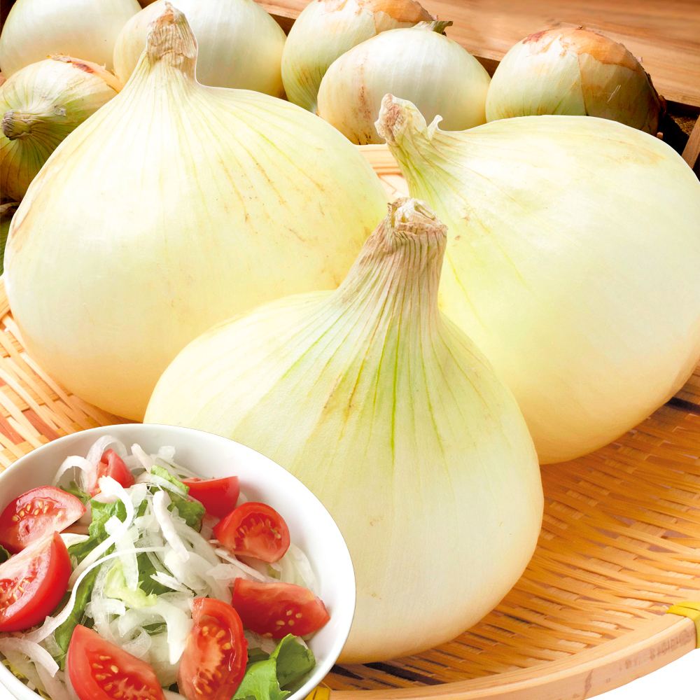 たまねぎ 10kg 新たまねぎ淡路島産 送料無料 食品