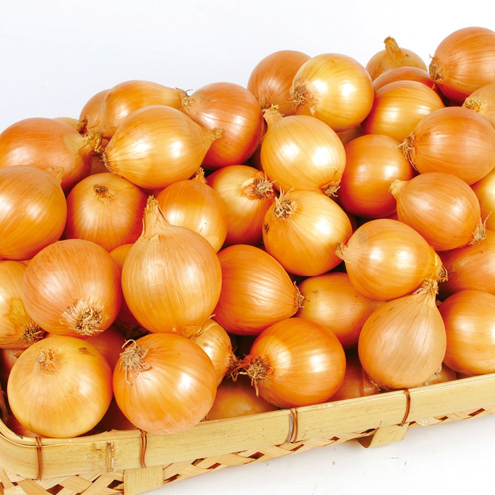 たまねぎ 10kg 小玉 北海道産 玉葱 玉ねぎ 送料無料 食品