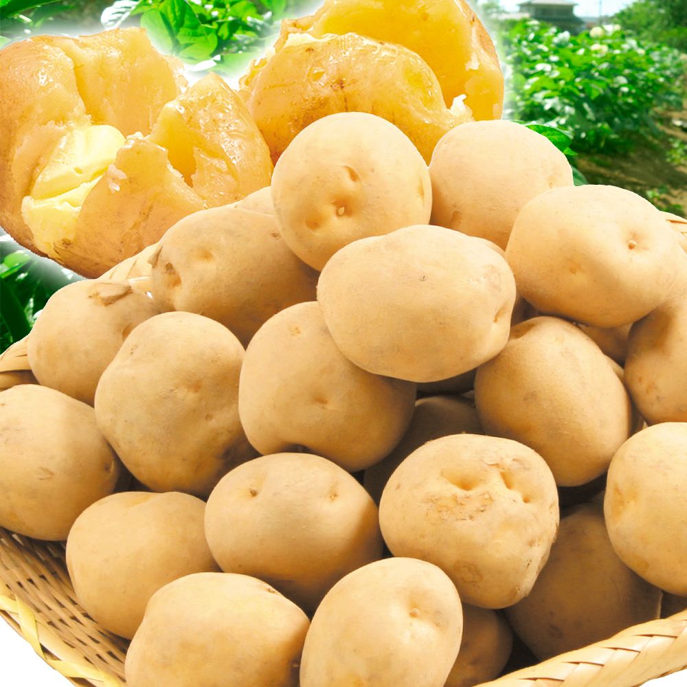 じゃがいも 10kg キタアカリ 北海道産 じゃが芋 送料無料 食品