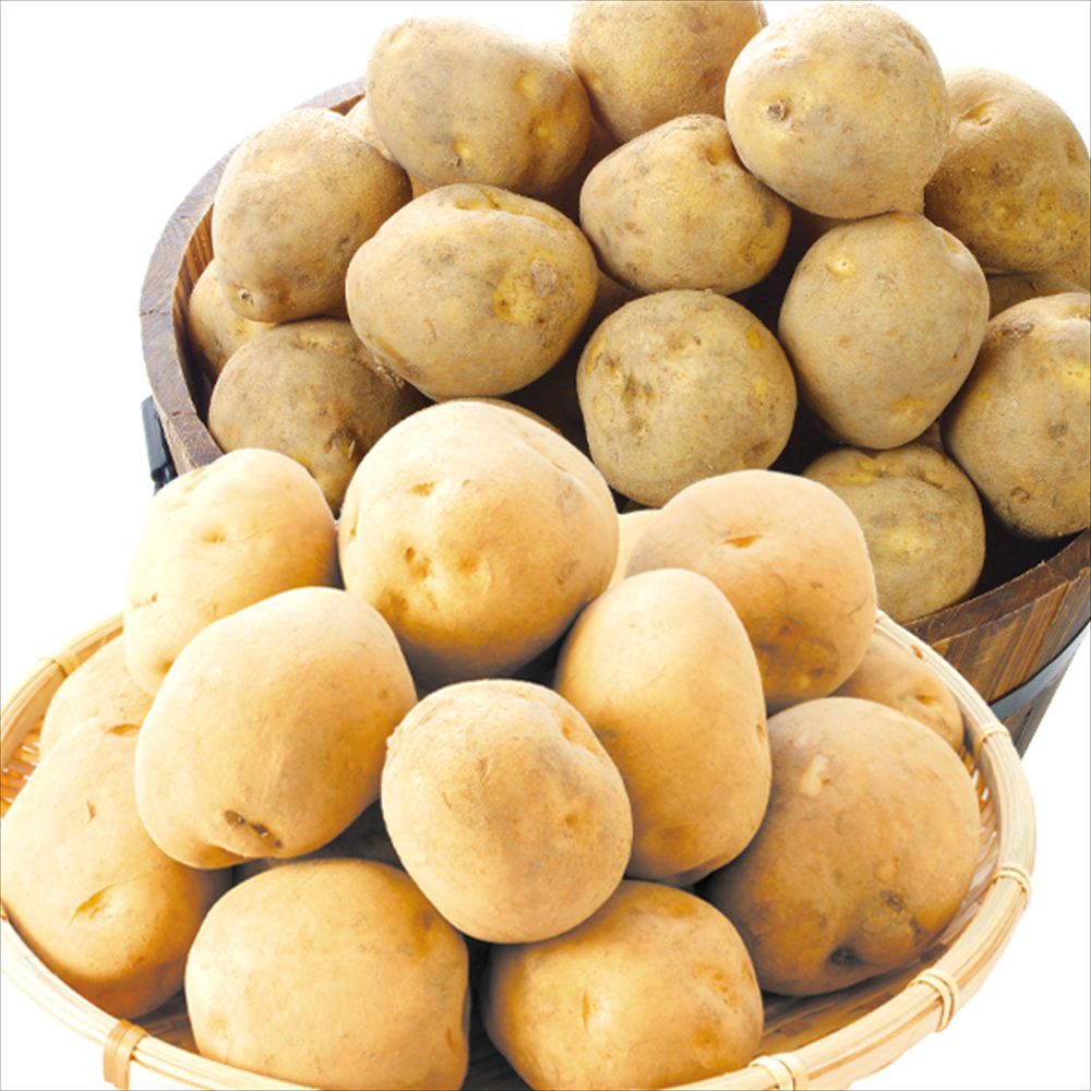 じゃがいも 10kg ばれいしょ 北海道産 じゃが芋 送料無料 食品