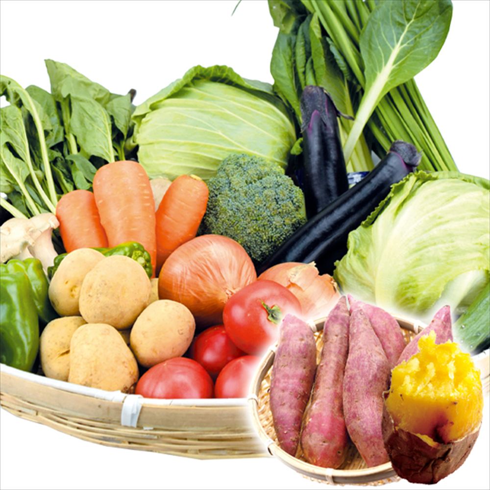 野菜セット バイヤーお任せ15品目野菜セット 送料無料 食品
