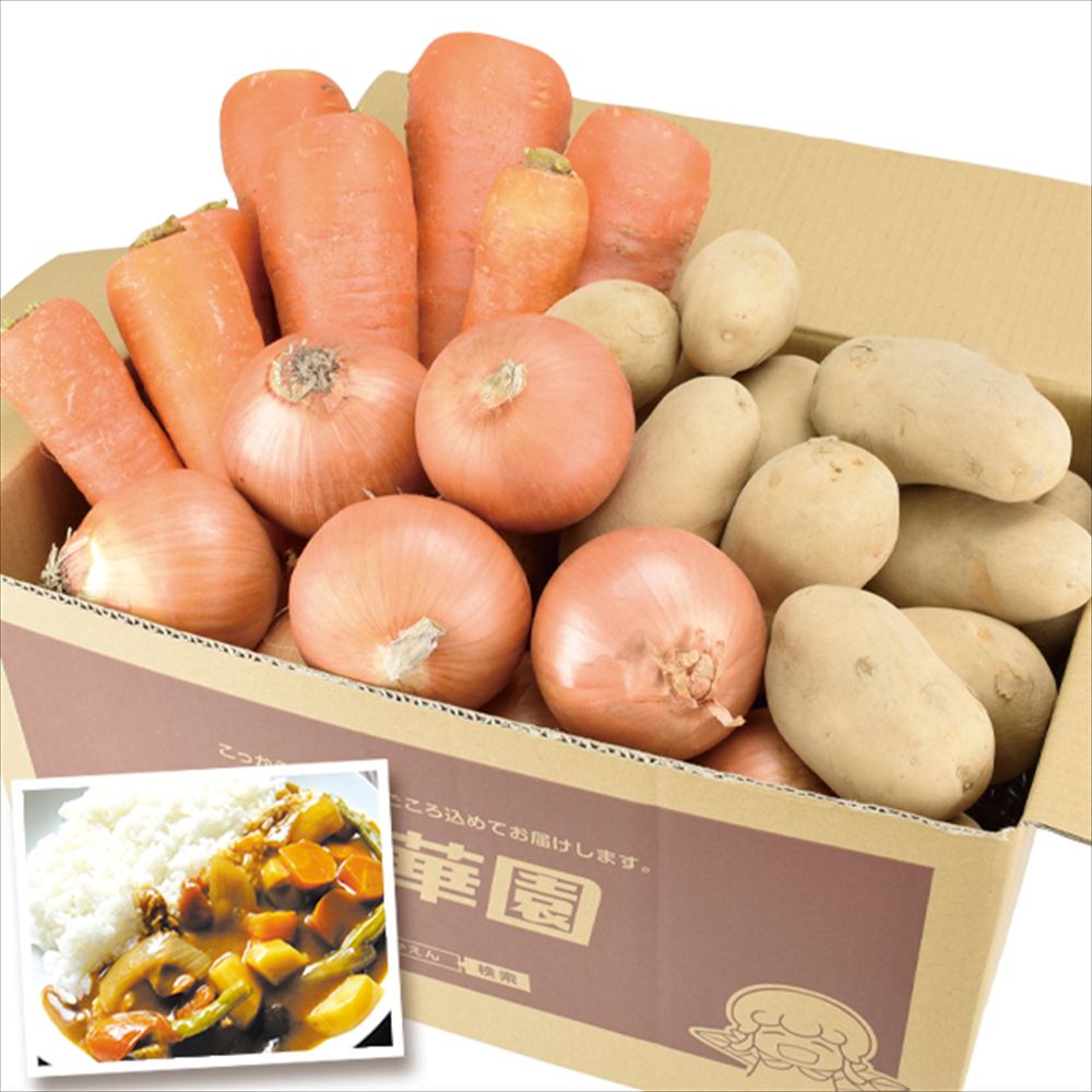 野菜セット 5kg 基本の根菜3種セット 国産 （じゃがいも約2kg、たまねぎ約2kg、にんじん約1kg） 国産 送料無料 食品