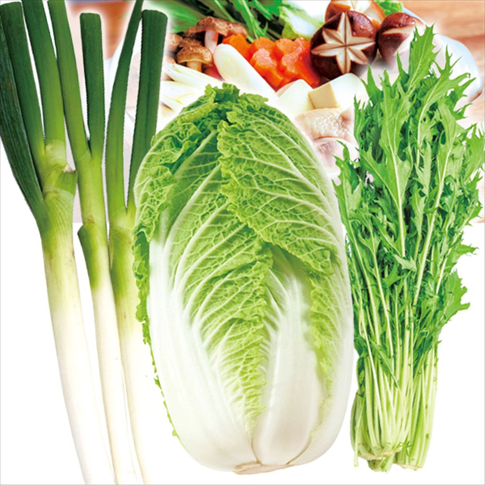 野菜セット 3種1組 鍋物野菜セット 国産 （白ねぎ1束、白菜1玉、水菜1束） 送料無料 食品
