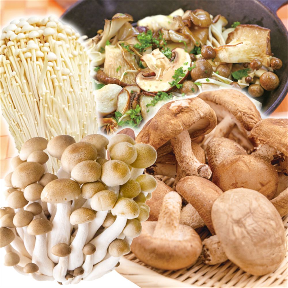 野菜セット 3種1組 きのこセット 国産 （しめじ2袋、えのき2袋、しいたけ2袋） 送料無料 食品