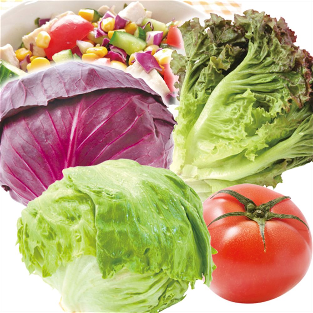 野菜セット 4種1組 グリーンサラダセット 国産 （レタス1玉、レッドキャベツ1玉、サニーレタス1株、トマト1パック） 送料無料 食品