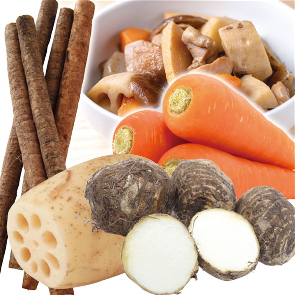 野菜セット 4種1組 煮物野菜セット 国産 （里いも1袋、にんじん約500g、れんこん約100g、ごぼう約500g） 送料無料 食品