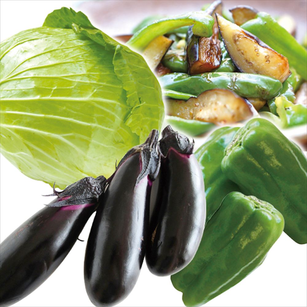 野菜セット 3種1組 炒め物野菜Ａセット 国産 （キャベツ1玉、ピーマン1袋、なす1袋3～5本入） 送料無料 食品