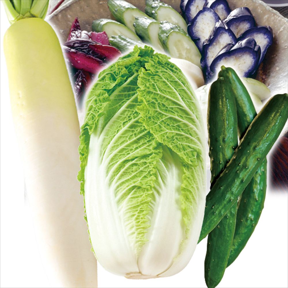 野菜セット 3種1組 漬物野菜セット 国産 （きゅうり3本、大根1本、白菜1玉） 送料無料 食品