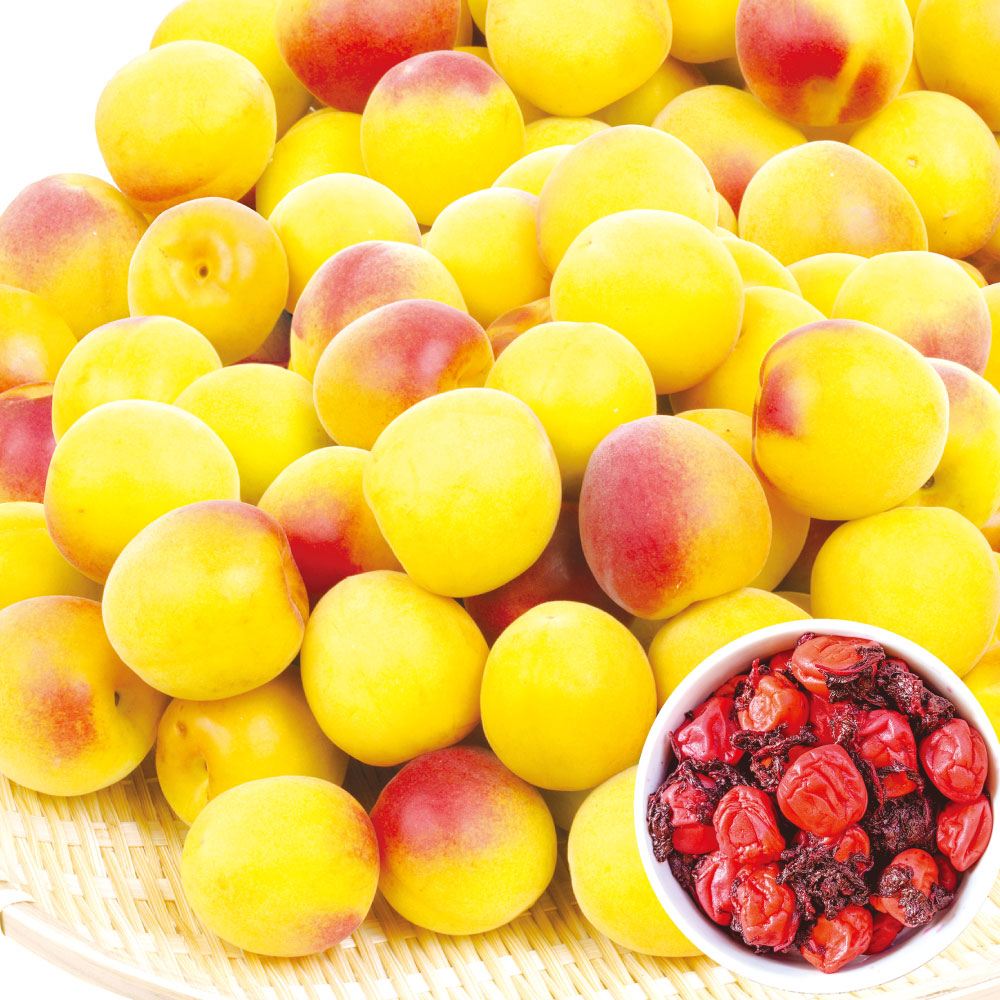 梅 5kg 紀州南高梅【熟梅】和歌山産 送料無料 食品