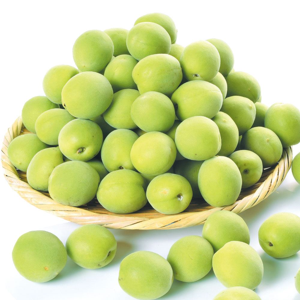 梅 10kg おまかせ青梅 ご家庭用 和歌山産 送料無料 食品