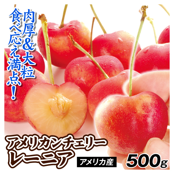さくらんぼ 500g レーニア アメリカンチェリー アメリカ産 送料無料 食品