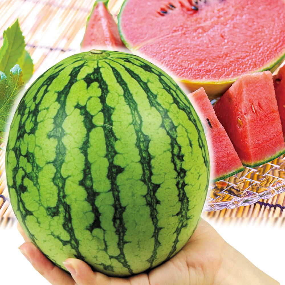 スイカ 4玉 紀南の小玉すいか 和歌山産 送料無料 食品