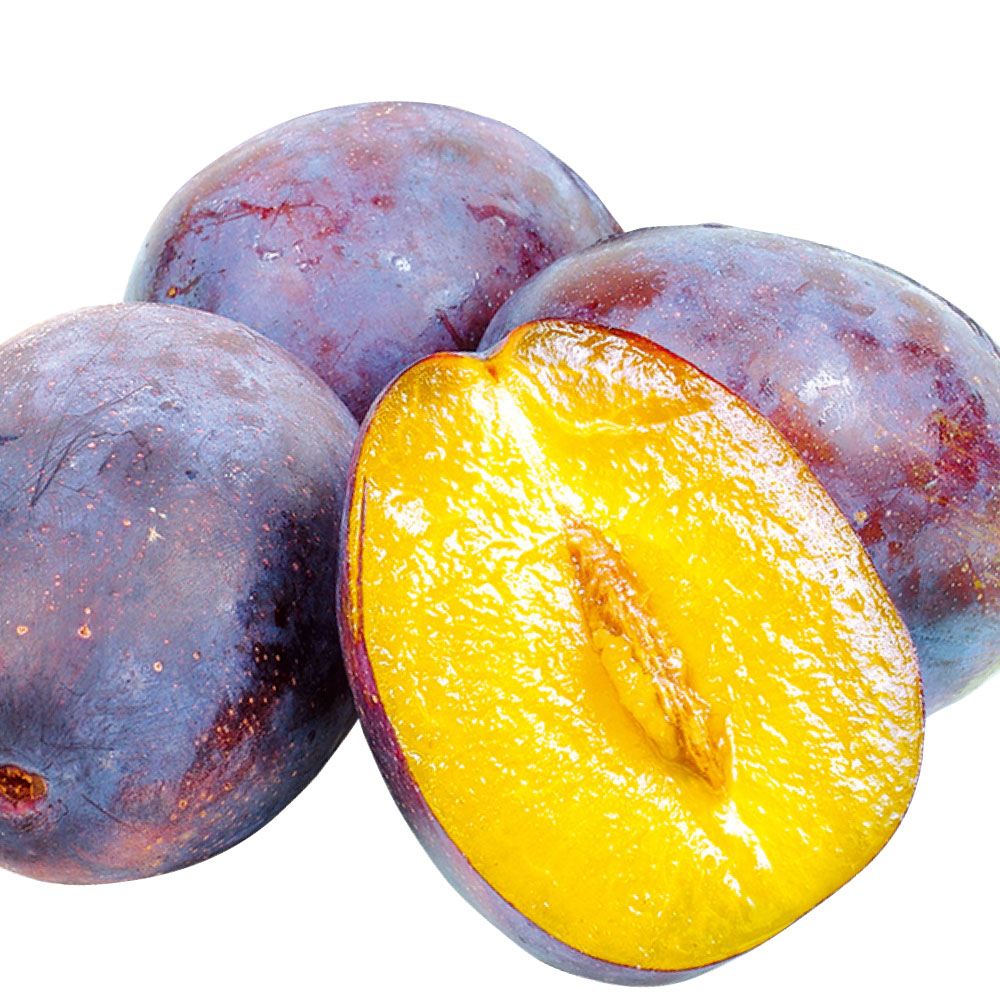 プルーン 4kg 青森産 送料無料 食品