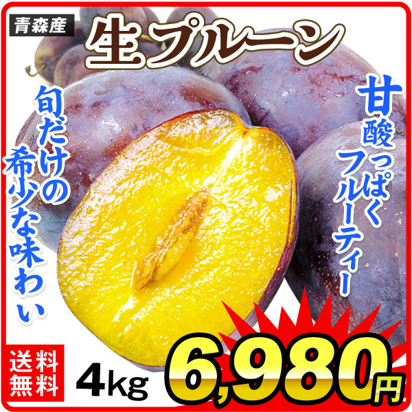 プルーン 4kg 青森産 送料無料 食品